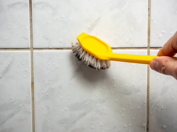 Best Attic Mold Removal  in French Mp, CA